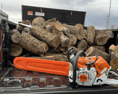 TREE SERVICES